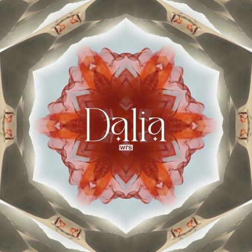 Dalia - WRS