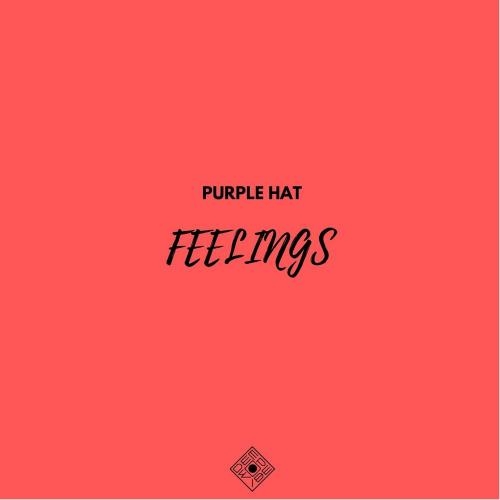 Feelings (Original Mix) - SergeOk & Purple Hat