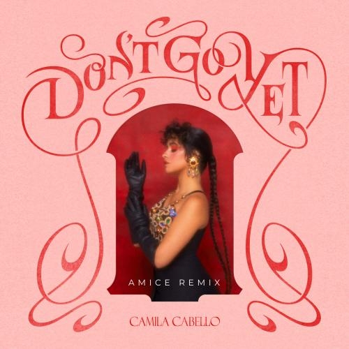 Dont Go Yet (Amice Remix) - Camila Cabello