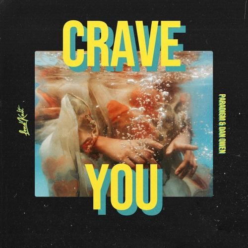 Crave You - Paradigm feat. Dan Owen