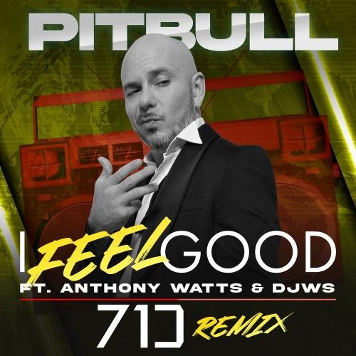 I Feel Good (71 Digits Remix) - Pitbull feat. Anthony Watts x Djws