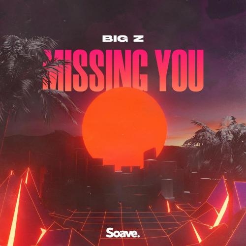 Missing You - Big Z