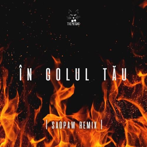 In Golul Tau (Sadpaw Remix) - The Motans