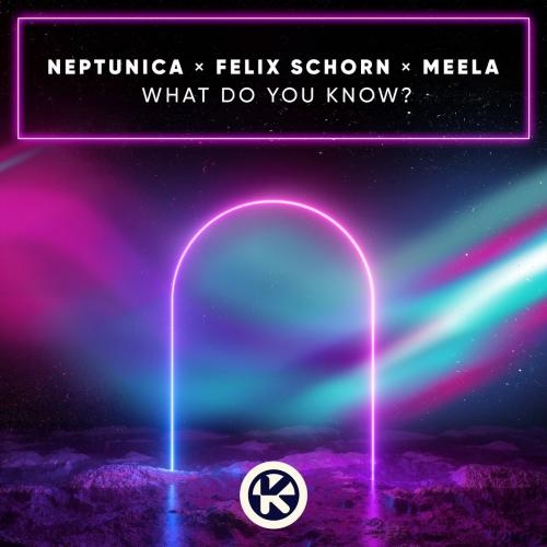 What Do You Know - Neptunica feat. Felix Schorn x MEELA