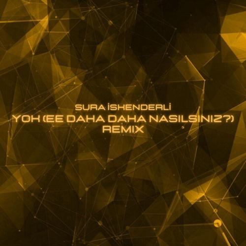 YOK (Ee daha daha nasılsınız_) (Remix) - Sura İskenderli