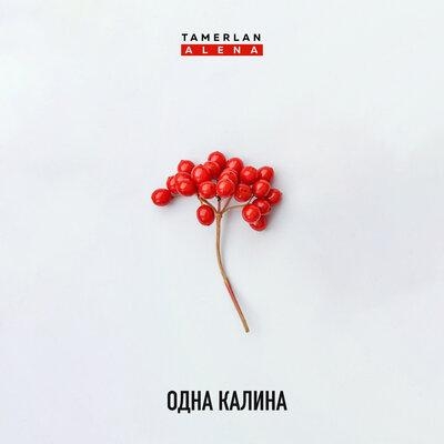 Одна калина - TamerlanAlena