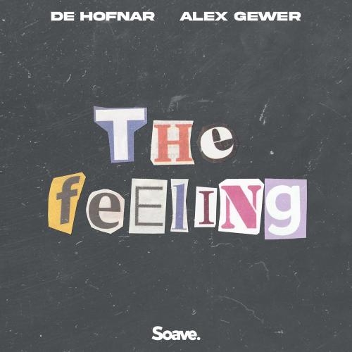 The Feeling - De Hofnar feat. Alex Gewer