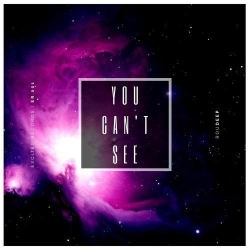 You Can't See - Roudeep