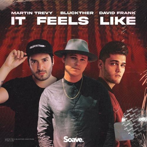 It Feels Like - Martin Trevy feat. Bluckther x David Frank