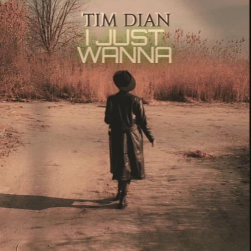 I Just Wanna - Tim Dian