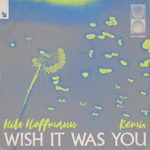 Wish It Was You (Nils Hoffmann Remix) - Audien feat. Cate Downey