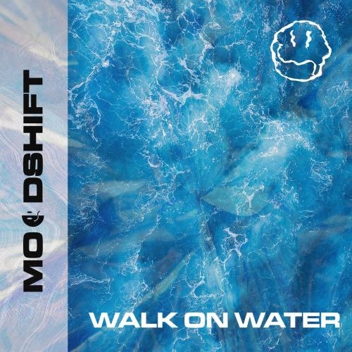 Walk On Water - Moodshift feat. Oliver Nelson & Lucas Nord & Flyckt