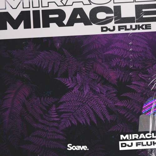 Miracle - DJ Fluke