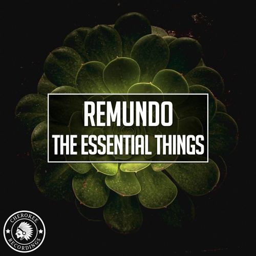 The Essential Things - Remundo