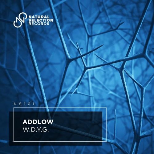 W.D.Y.G - AddLow