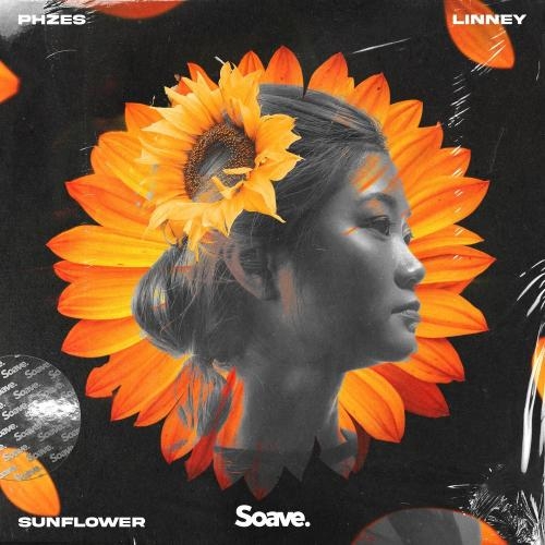 Sunflower - PHZES & Linney