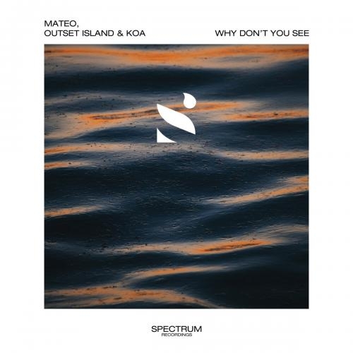 Why Dont You See - Mateo x Outset Island feat. Koa