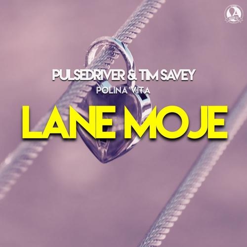 Lane Moje - Pulsedriver, Tim Savey & Polina Vita