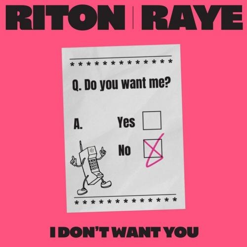 I Don't Want You - Riton & Raye