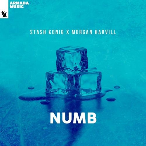 Numb - Stash Konig feat. Morgan Harvill