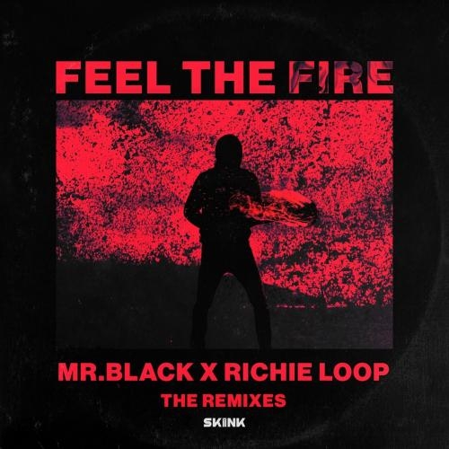 Feel The Fire (Futuristic Polar Bears & Jerry Davila Remix) - Mr.Black feat. Richie Loop