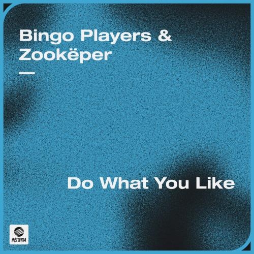 Do What You Like - Bingo Players & Zookper