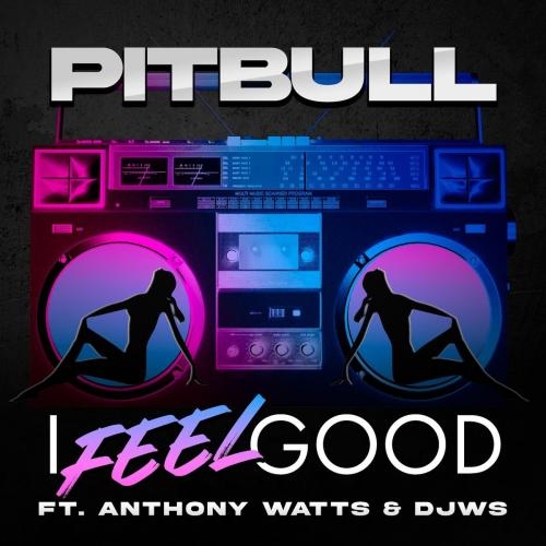 I Feel Good - Pitbull feat. Anthony Watts & DJWS