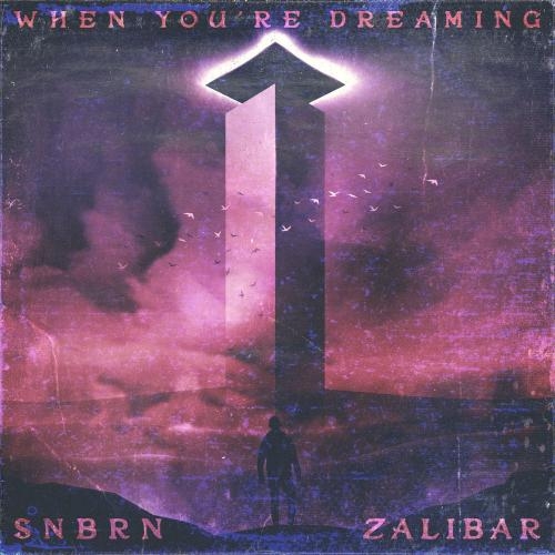 When You Are Dreaming - SNBRN feat. Zalibar