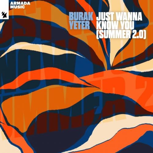 Just Wanna Know You (Summer 2.0) - Burak Yeter