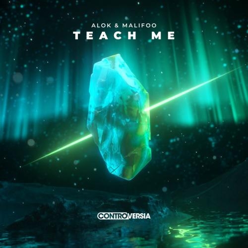 Teach Me - Alok feat. Malifoo