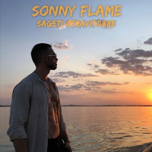 Sageti Otravitoare - Sonny Flame