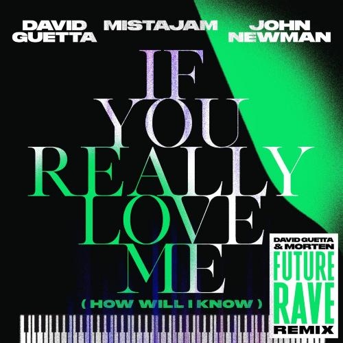 If You Really Love Me (How Will I Know) (David Guetta & MORTEN Future Rave Remix) - David Guetta & MistaJam & John Newman