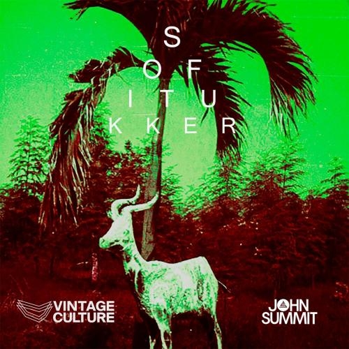 Drinkee (Vintage Culture & John Summit Remix) - Sofi Tukker