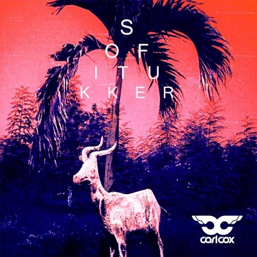 Drinkee (Carl Cox Remix) - Sofi Tukker