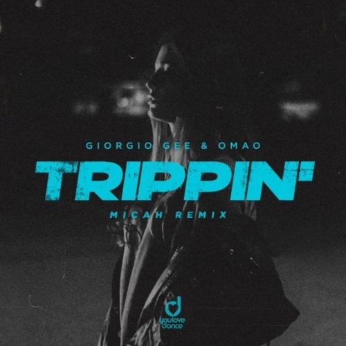 Trippin' (MICAH Remix) - Giorgio Gee & Omão