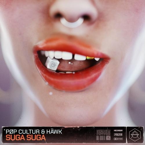 Suga Suga - PØP CULTUR & Hawk