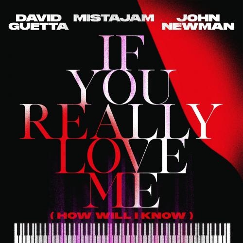 If You Really Love Me (How Will I Know) - David Guetta & MistaJam feat. John Newman