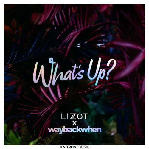 What's Up_ - Lizot & waybackwhen