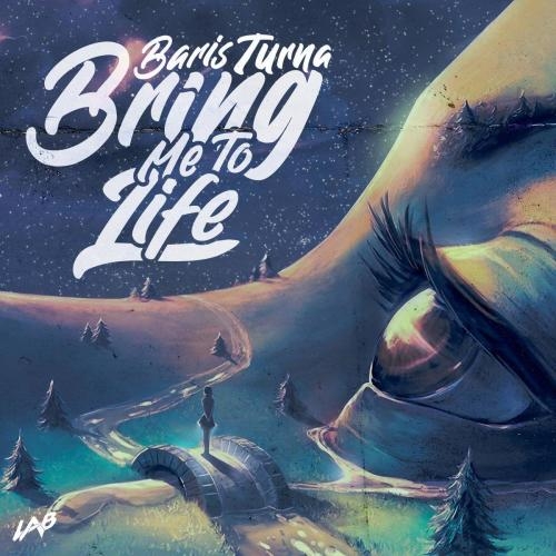 Bring Me To Life - Baris Turna