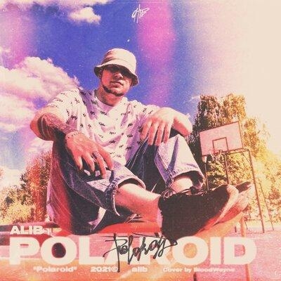 Polaroid - ALIB