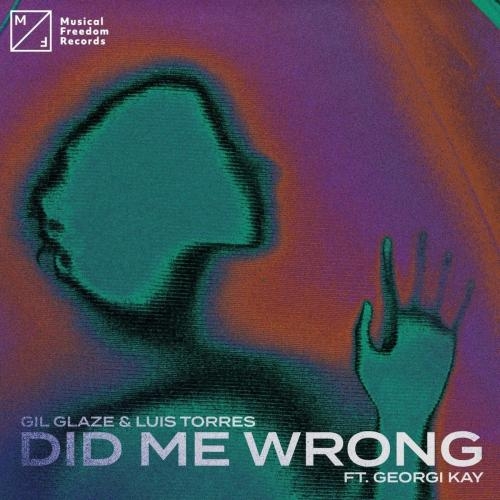 Did Me Wrong - Gil Glaze & Luis Torres feat. Georgi Kay