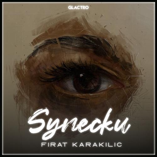 Synecku - Fırat Karakılıç