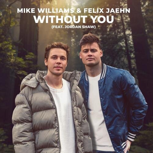 Without You - Mike Williams & Felix Jaehn feat. Jordan Shaw