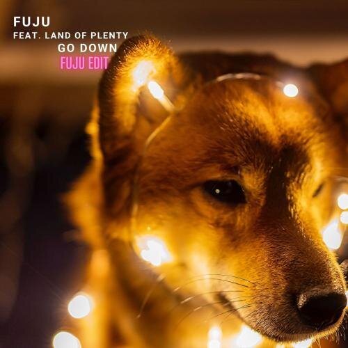 Go Down (Fuju Edit) - Fuju feat. Land of Plenty