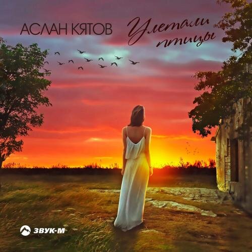 Улетали птицы - Аслан Кятов