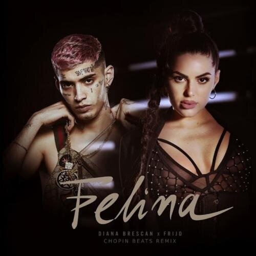 Felina (Chopin Beats Remix) - Diana Brescan feat. Frijo