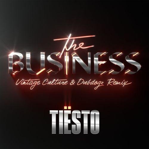 The Business (Vintage Culture & Dubdogz Remix) - Tiësto