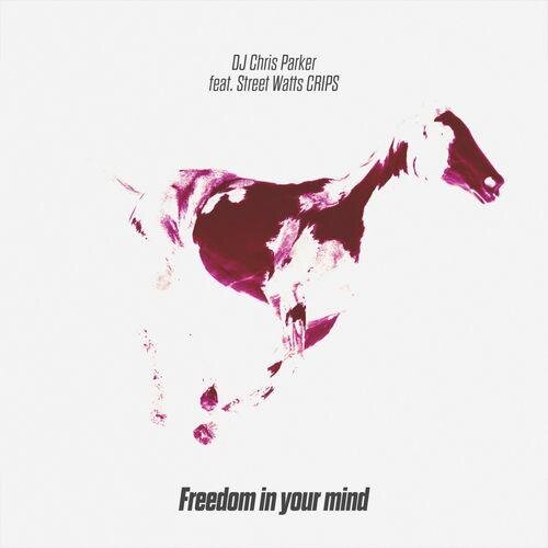 Freedom in Your Mind - DJ Chris Parker & Street Watts Crips feat. Street Watts Crips