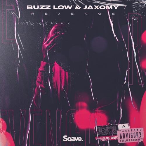 Revenge - Buzz Low & Jaxomy