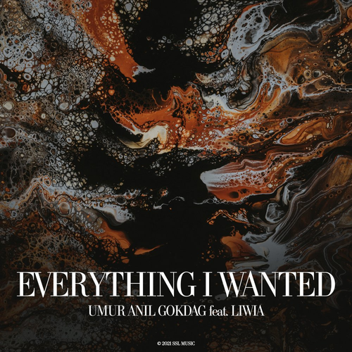 Everything I Wanted - Umur Anil Gokdag & Liwia